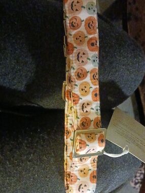 Halloween Pumpkin Print Dog Collar 🎃